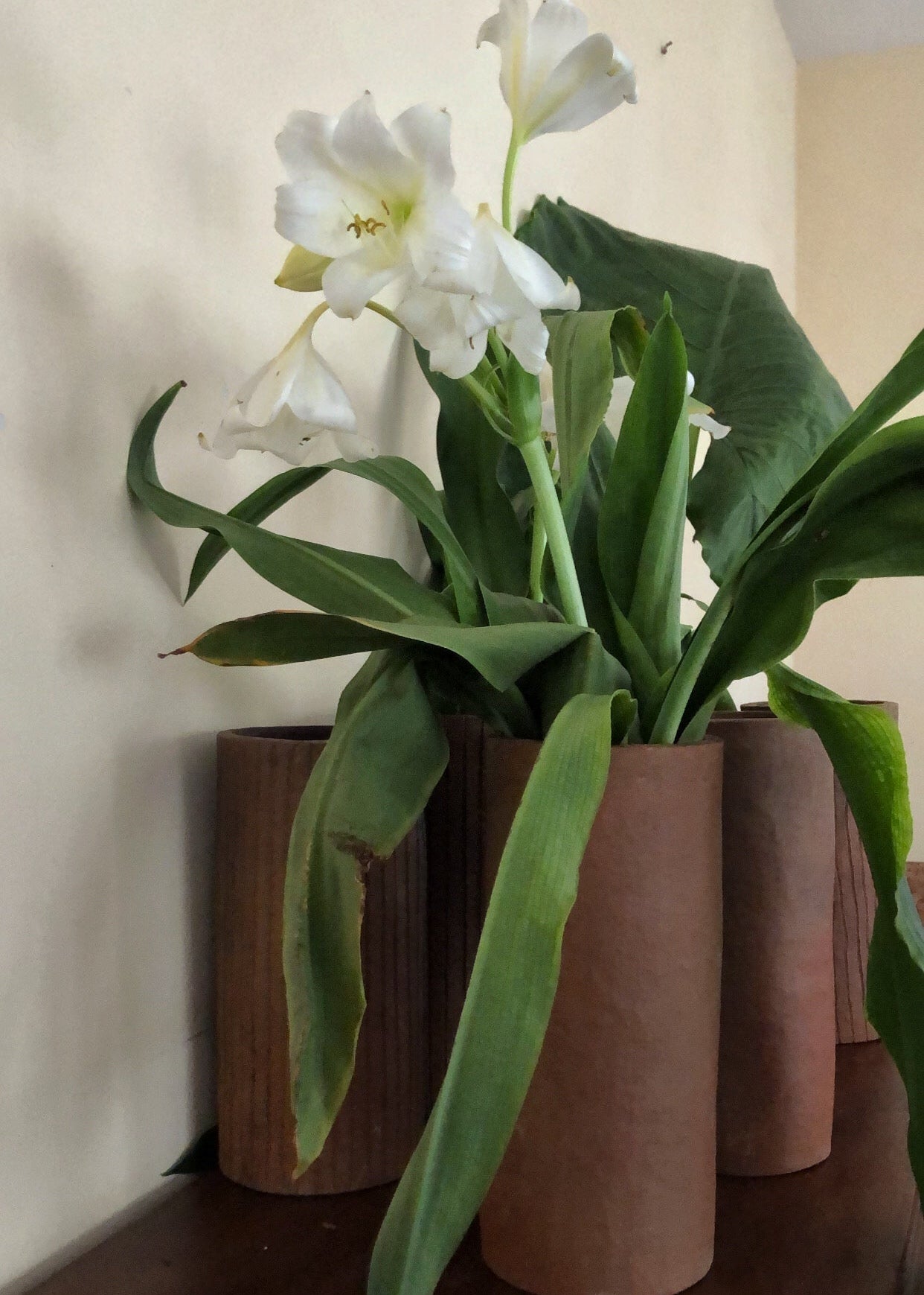VASE EN ARGILE