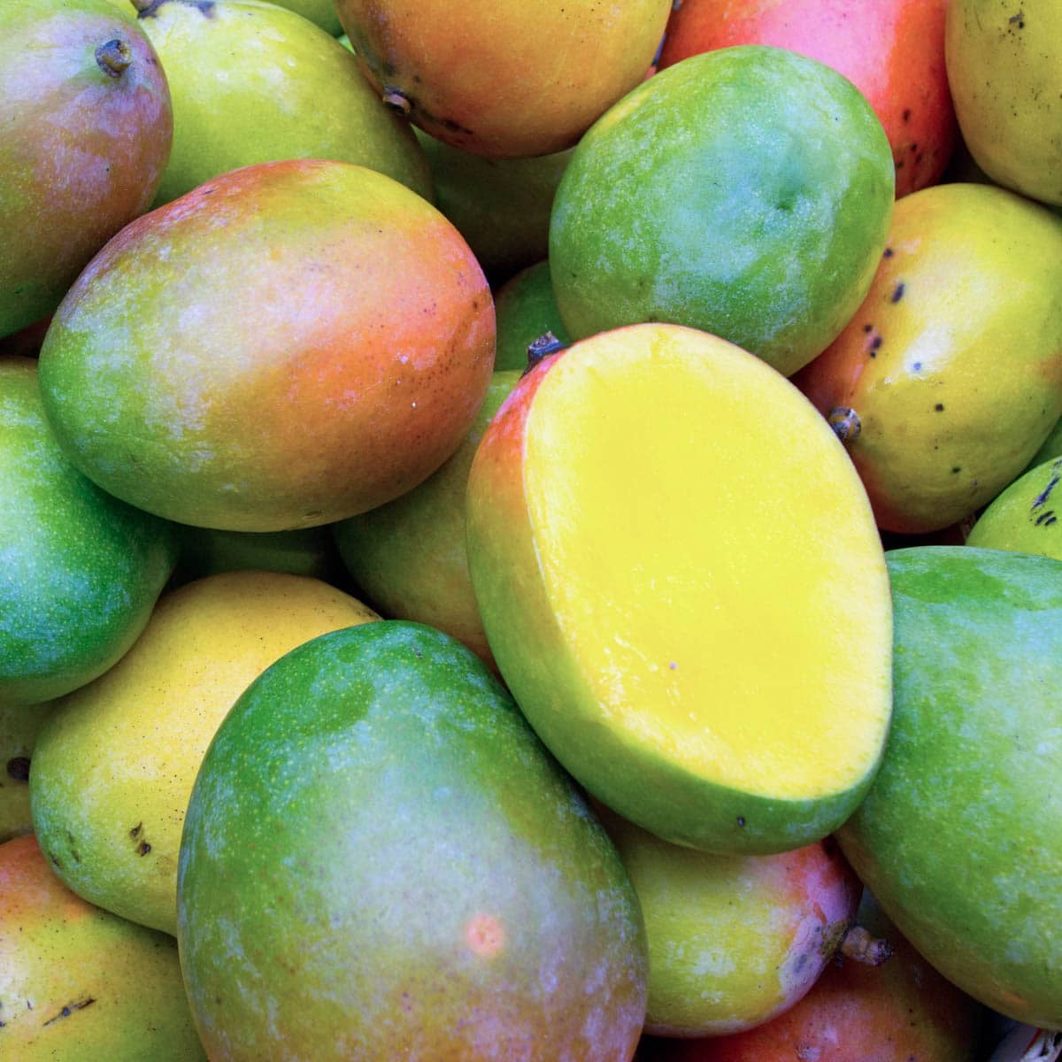BREADFRUIT CHIPS